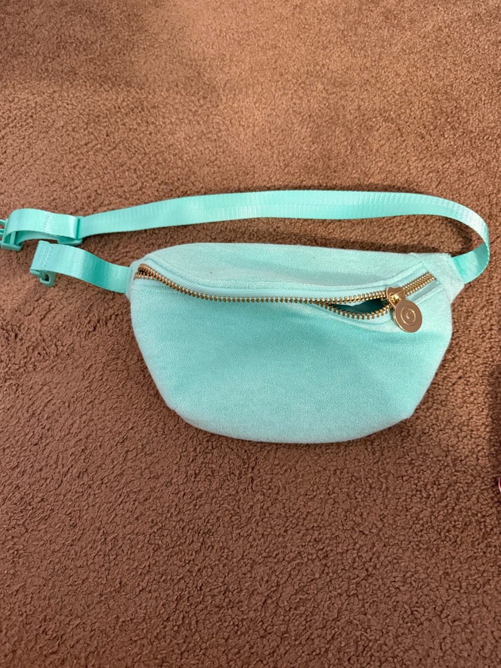 Stoney Clover x Target Mint Green Terry Cloth Belt Bag